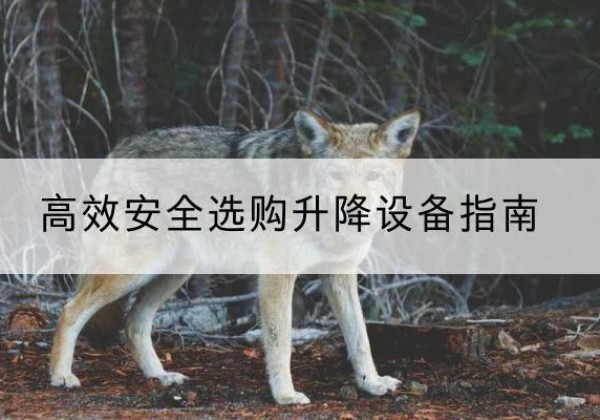 河东区升降货梯厂家推荐-*安全选购升降设备指南