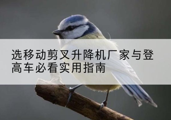 河东区电动升降机厂家-选移动剪叉升降机厂家与登高车必看实用指南
