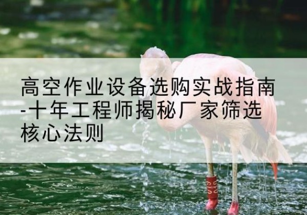 河东区剪叉式升降机厂家-高空作业设备选购实战指南-十年工程师揭秘厂家筛选核心法则